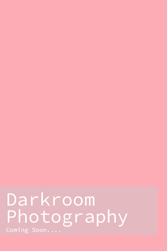 Color photo.