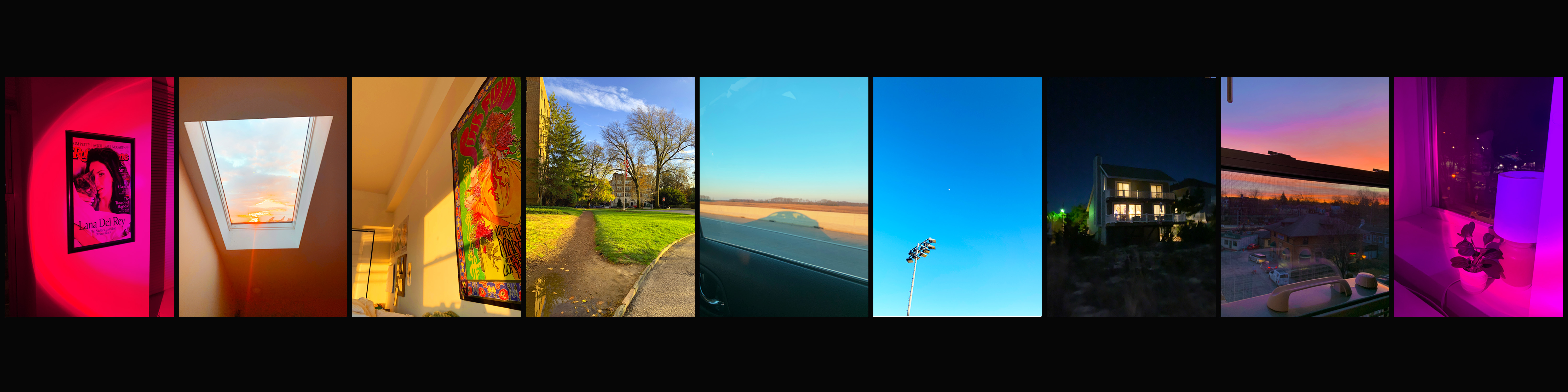Color photo. nine photos in one line, each with a specific color hue. The pictures go in rainbow order.